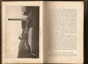 Page 12-13.